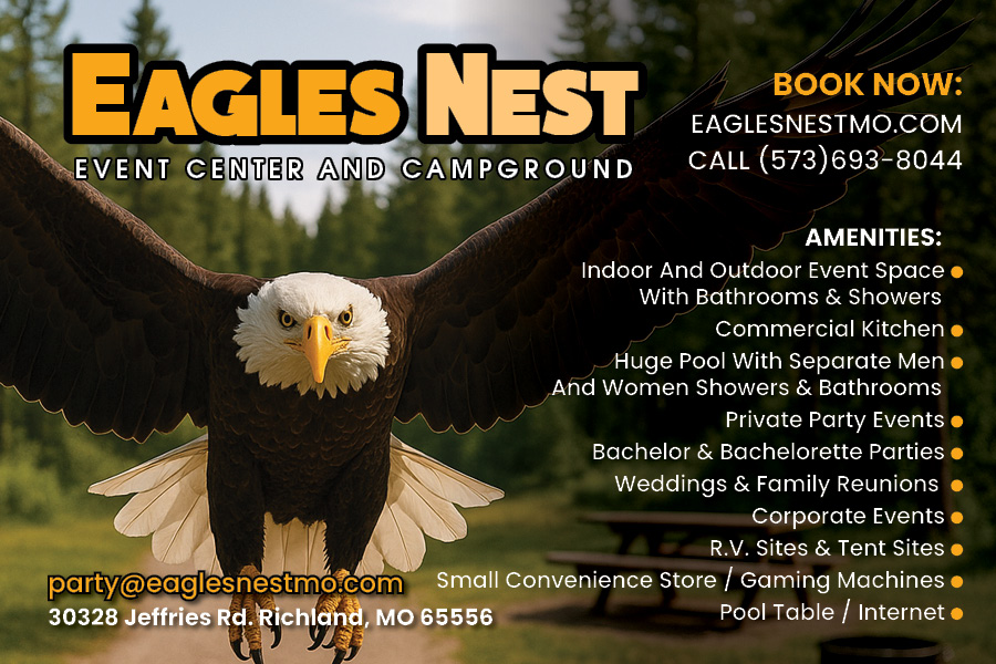 Bald eagle in flight with wings spread against forested background and sky.